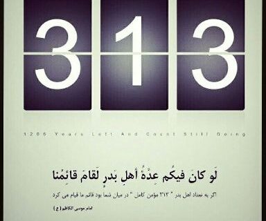 کیا 313 افراد کے ساتھ قیام ممکن ہے؟