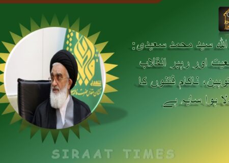 آیت اللہ سید محمد سعیدی: مرجعیت اور رہبر انقلاب کی توہین، ناکام فتنوں کا دھندلا ہوا سایہ ہے