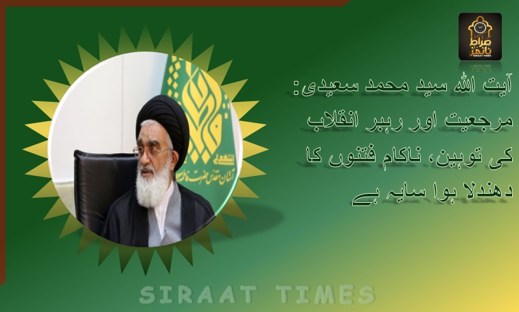 آیت اللہ سید محمد سعیدی: مرجعیت اور رہبر انقلاب کی توہین، ناکام فتنوں کا دھندلا ہوا سایہ ہے