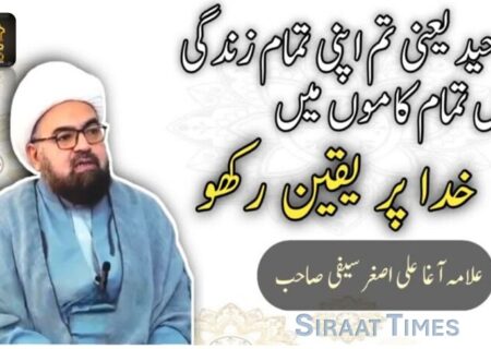 توحید یعنی تم اپنی زندگی میں تمام کاموں میں خدا پر یقین رکھو / حوزہ علمیہ کے ممتاز استاد، حجۃ الاسلام والمسلمین مولانا علی اصغر سیفی حفظہ اللہ
