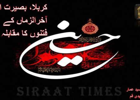 کربلا، بصیرت اور آخرالزماں کے فتنوں کا مقابلہ