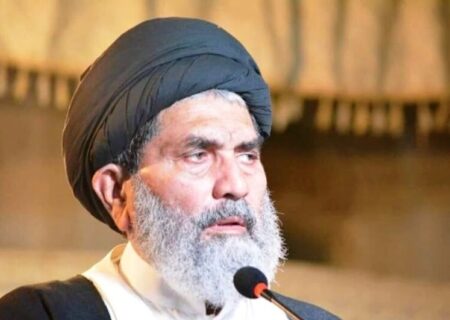 بین الاقوامی یومِ انسانیت پر قائد ملت جعفریہ کا پیغام / انسانیت کی تباہی کی اصل وجہ لالچ، ہوس اور خونخواری ہے: علامہ ساجد نقوی