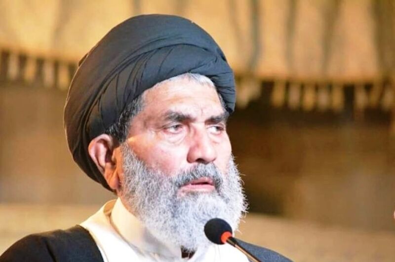 بین الاقوامی یومِ انسانیت پر قائد ملت جعفریہ کا پیغام / انسانیت کی تباہی کی اصل وجہ لالچ، ہوس اور خونخواری ہے: علامہ ساجد نقوی
