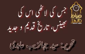 جس کی لاٹھی اس کی بھینس، تاریخ قدیم و جدید