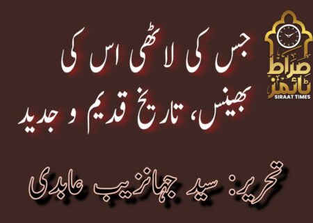 جس کی لاٹھی اس کی بھینس، تاریخ قدیم و جدید