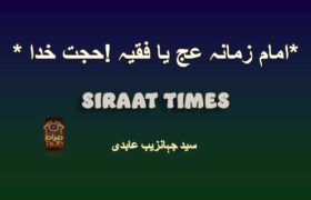 *حجت خدا ! امام زمانہ عج یا فقیہ*
