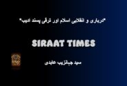 *درباری و انقلابی اسلام اور ترقی پسند ادیب*