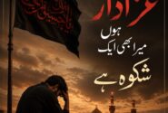 میں عزادار ہوں…